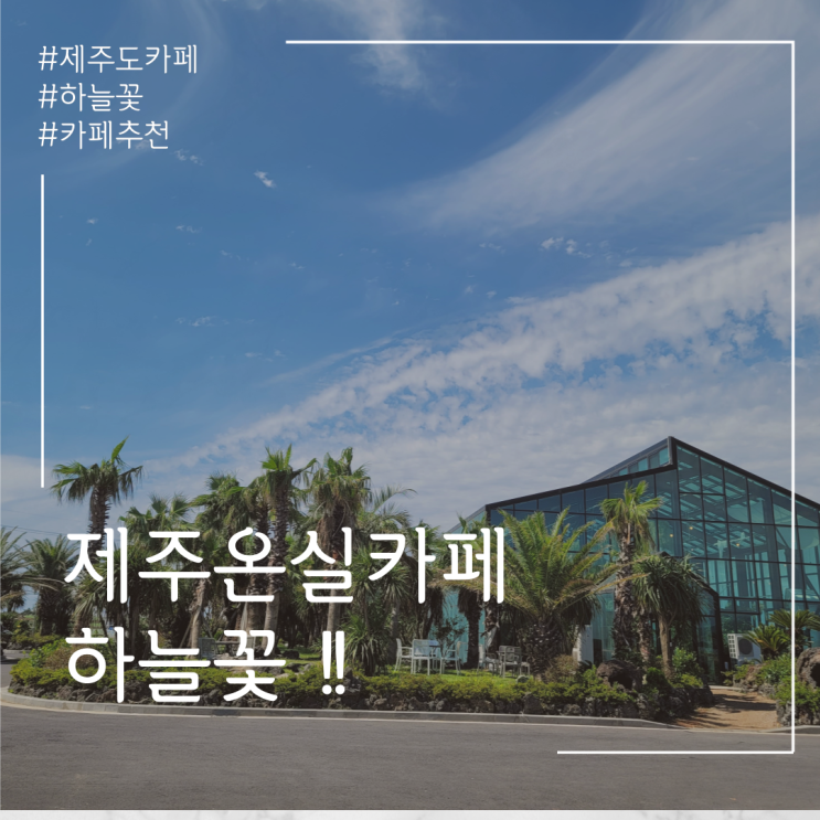 서귀포 온실카페 하늘꽃 제주도 카페추천~!