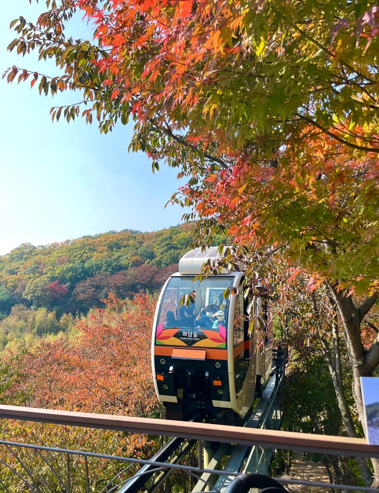  곤지암 화담숲 예약 및 모노레일 단풍 구경 꿀팁