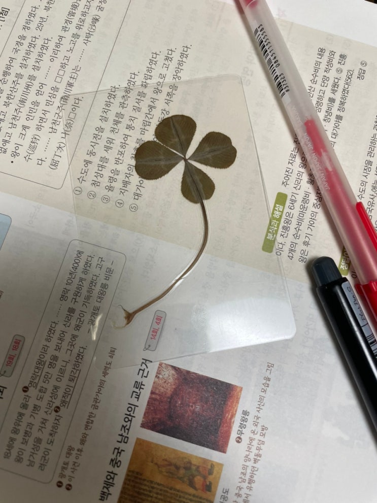  앗차차 주간일기