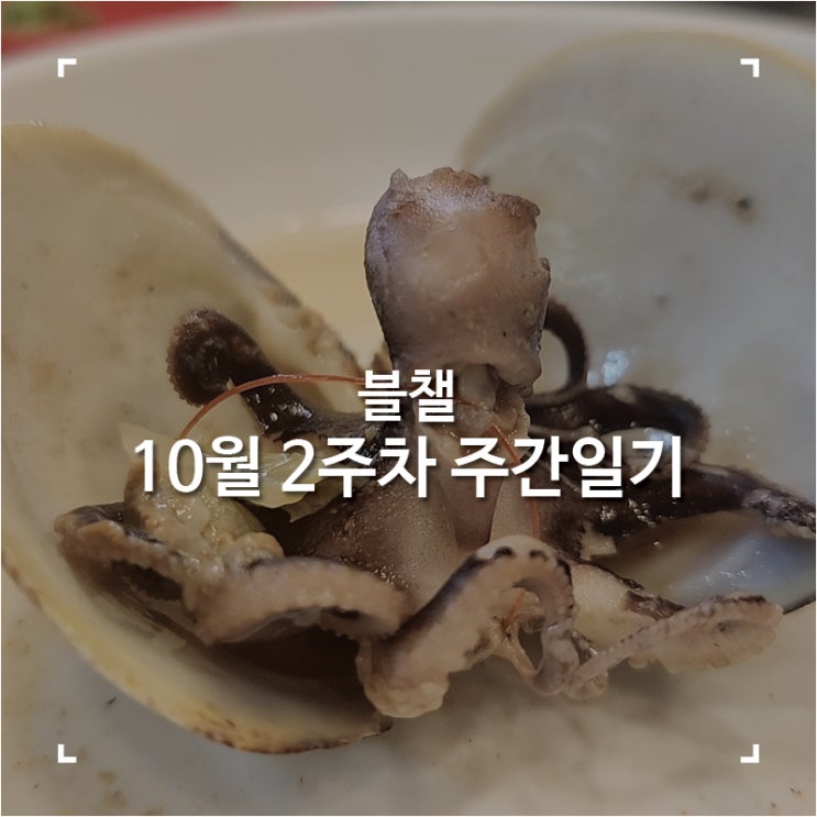  [블챌]맛집탐방하다 지나간 10월 2주차 주간일기