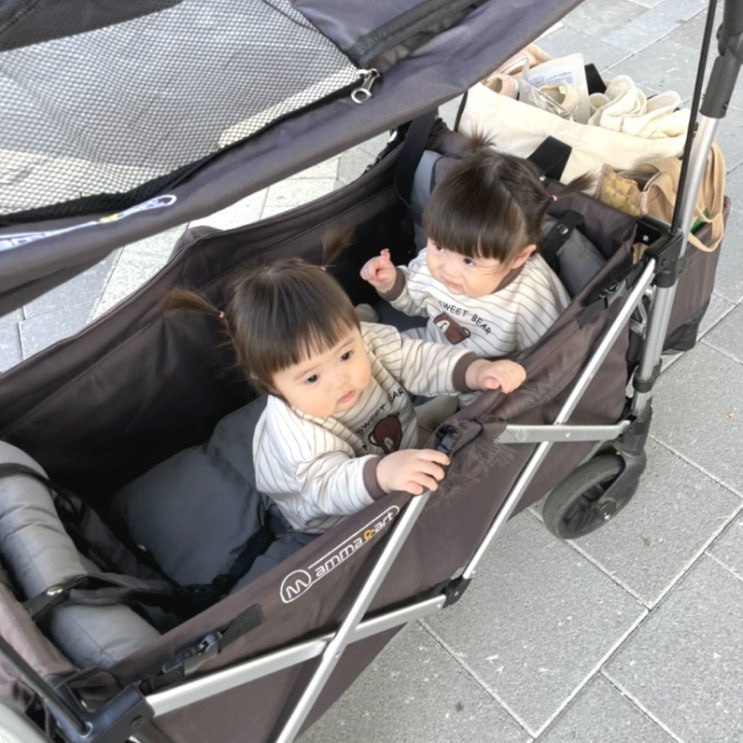  서울대공원 동물원 전동웨건대여방법 전동웨건 탑승시 이것만큼은 주의해주세요