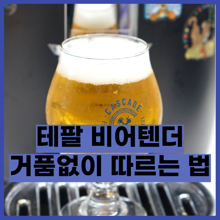  테팔 비어텐더로 하이네켄 맥주 거품 없이 따르는 법!