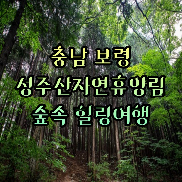 편백나무 꽃무릇 숲속 힐링 여행 ㅣ보령 성주산자연휴양림 이용안내 추천 이유