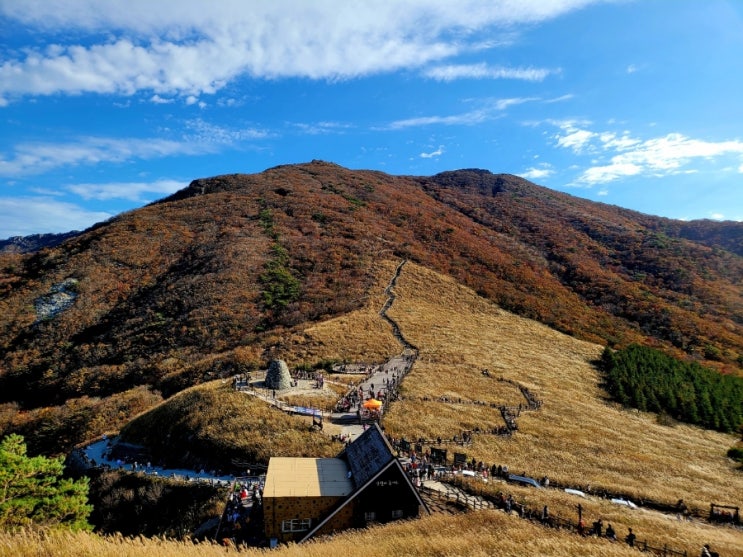  영남알프스(영축산-신불산-간월산)