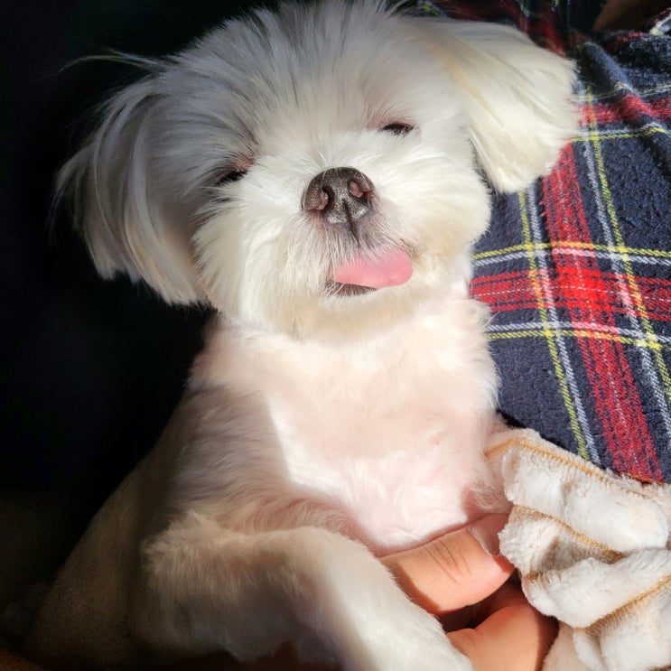  드디어 퇴사주 꺄울(221017-221023)