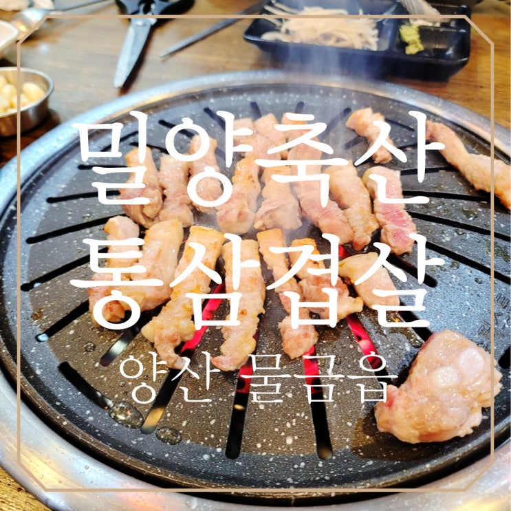  양산고기집 '밀양축산 통삼겹살' 두부짜글이 리얼강추