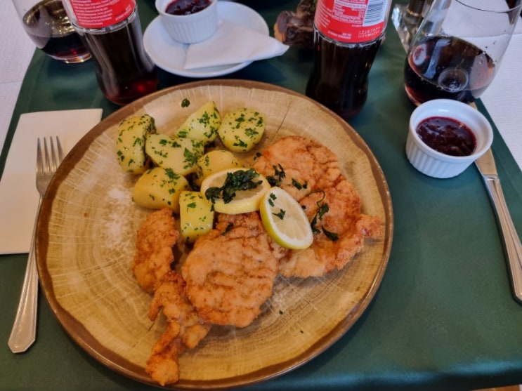  11일차 비엔나(빈) 여행(+맛집 +교통패스 구매 +마트물가 +DM물가 +야경포인트 +정산)