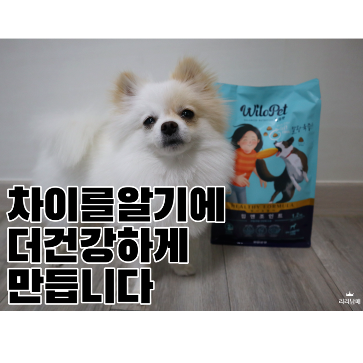  강아지 관절사료, 슬개골을 위해 준비한 소프트사료. 윌로펫 힙앤조인트