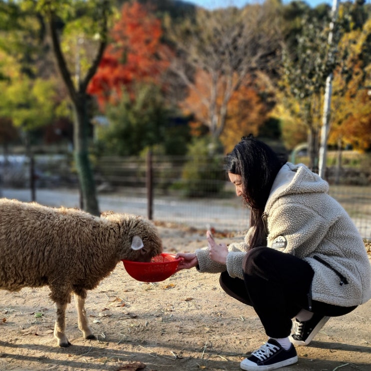  운전면허 따는 이야기랑 속초로 ㅌㅌ 한 이야기들