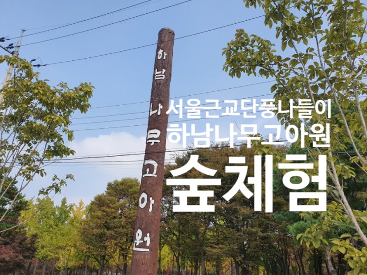  [경기도 하남]나무고아원_단풍 숲 체험장