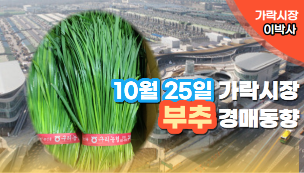  [경매사 일일보고] 10월 25일자 가락시장 "부추" 경매동향을 살펴보겠습니다!