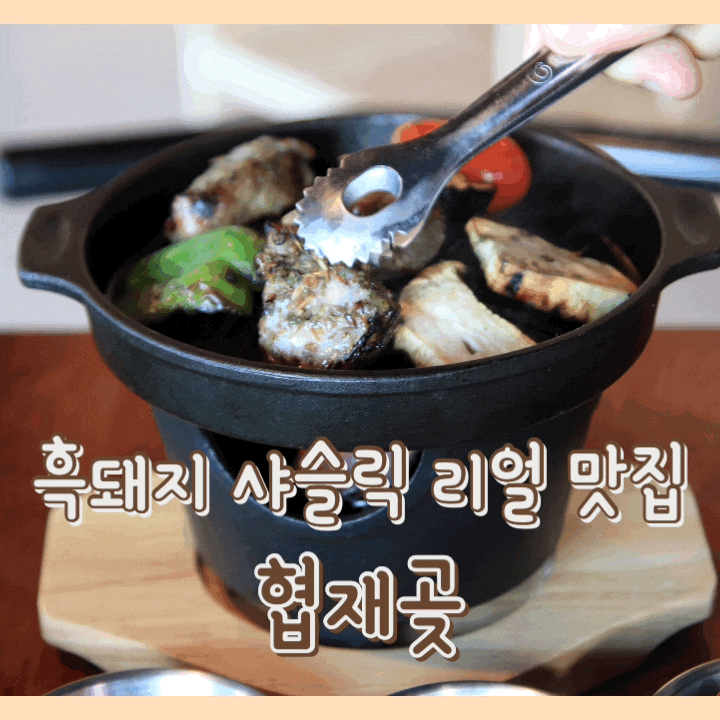  [맛집] 협재곶 : 제주 협재 흑돼지 샤슬릭 리얼 맛집 / 딱새우회 / 협재술집