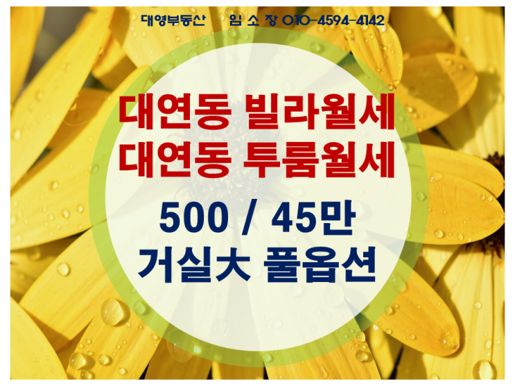  대연동 빌라 월세 대연역 투룸 월세 임대 가격 착해요 500-45만원
