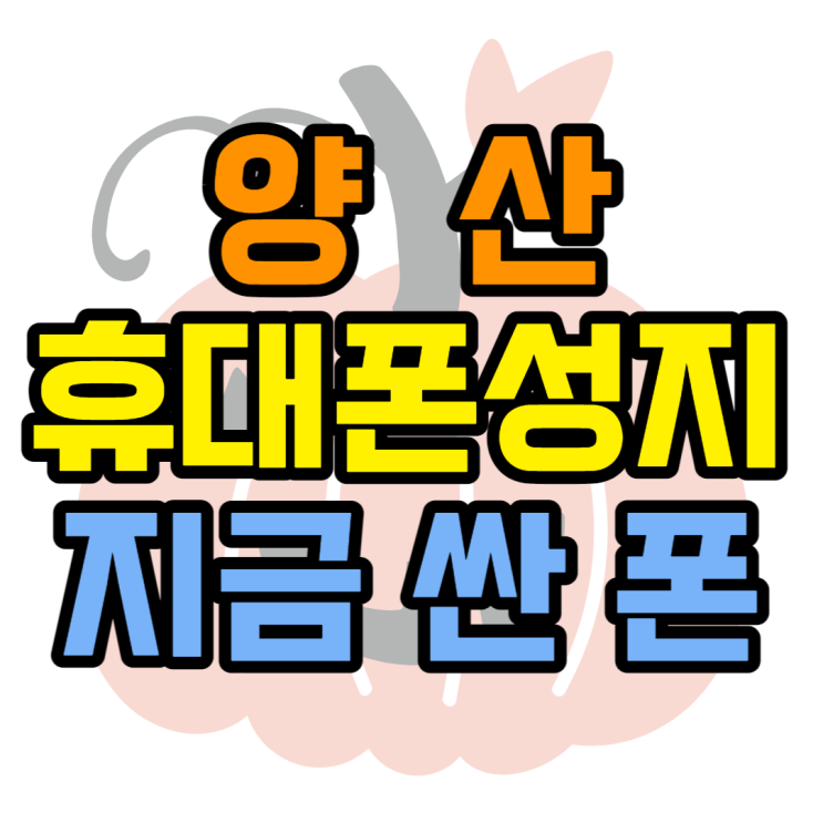 양산 휴대폰 성지 Z플립4 지금이 가장 쌀 때! 양산 휴대폰 성지 Z플립4 지금이 가장 쌀 때!