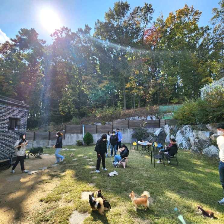  윈터펠 치와와, 주말 이야기