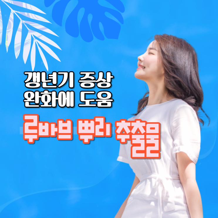 루바브 뿌리 추출물 루바브 효능 여성 갱년기 증상 완화 도움 주는 천연 건강식 루바브 뿌리 추출물 루바브 효능 여성 갱년기 증상 완화 도움 주는 천연 건강식