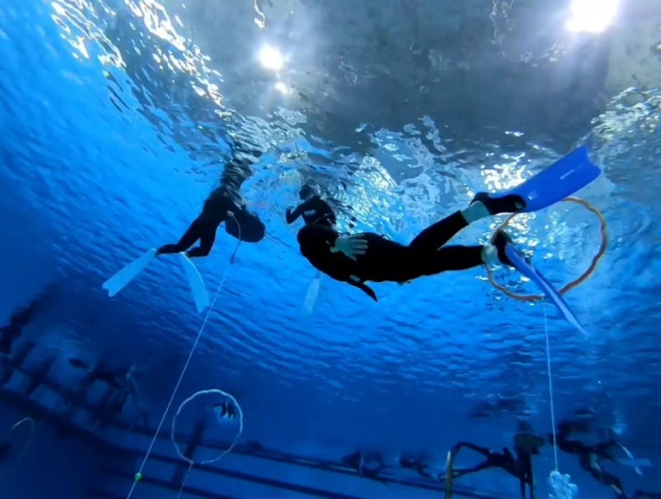  [5m 수영장에서 프리다이빙 도전하기 FREEDIVING TRAINING: JUMP INTO THE 5M POOL]
