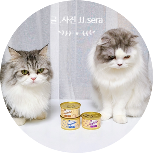 고양이습식캔 추천 : 기호성 좋고 영양 밸런스 높은 주식캔 마이베프 마이슐랭
