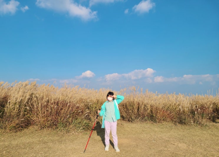  황매산 미리내파크 정상 코스 억새 초등학생 등산