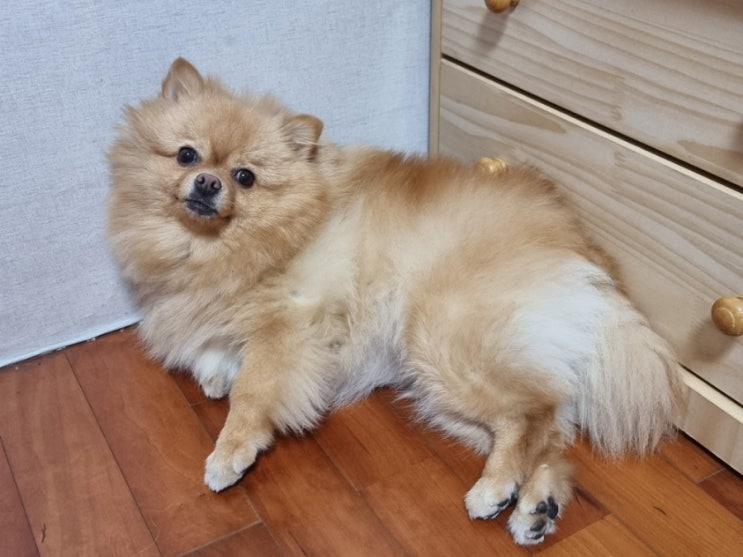  방금 찍은 따끈따끈한 사랑이 사진들