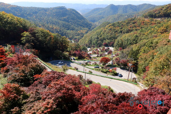  속리산 말티재 단풍 이번주 절정 '가을 정취 물씬'