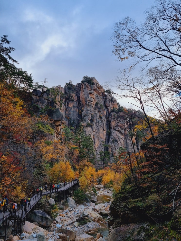  설악산 흘림골 등산코스 단풍산행 이야기 ( 7년만의 개방, 주전골, 오색 )