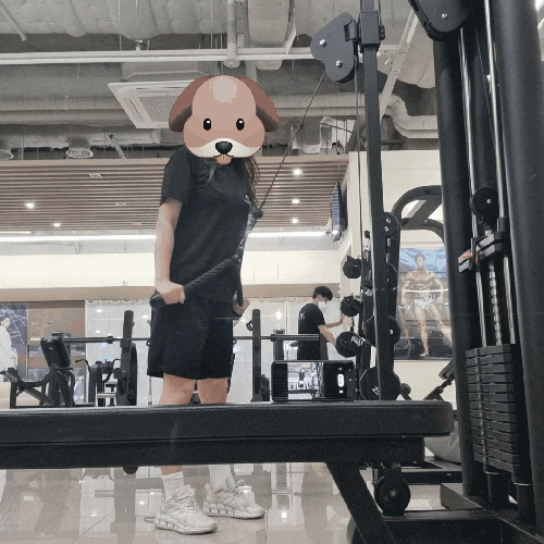  헬스장 기록 #2 팔운동 다리스트레칭 복근운동 백익스텐션 티바로우 여자헬스