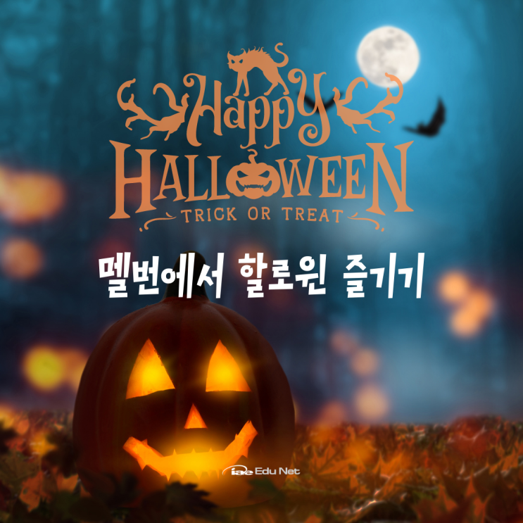  호주 멜버른 할로윈 2022, 신나게 즐길 준비 되셨나요? (유학네트)