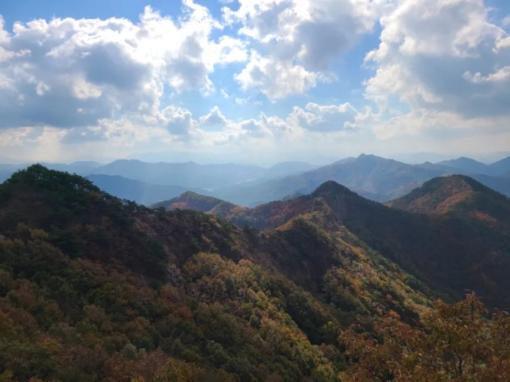 충북 영동 갈기산 최단 코스 등산(바깥 모리 주차장~정자~갈기산~원점)