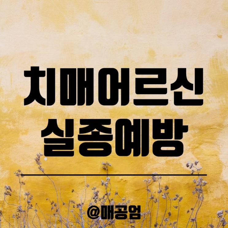 치매어르신 실종 예방 실시간 위치추적기 배회감지기