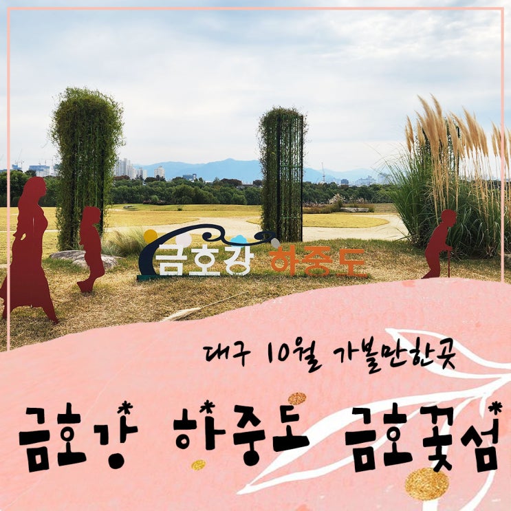  대구 10월 가볼만한곳 금호강 하중도 금호꽃섬