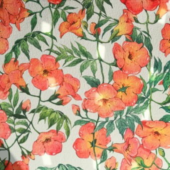  꽃(Flower)