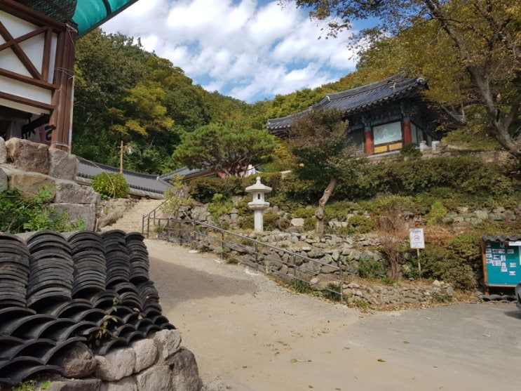  포항 장기 고석사 가는 길