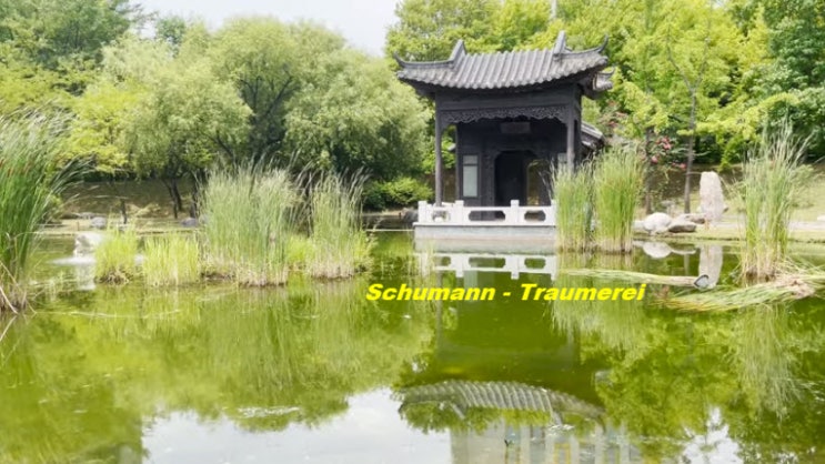 Schumann - Traumerei Schumann - Traumerei