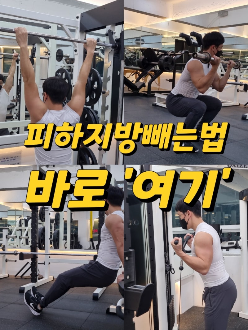 체지방 빼는 법[연산동헬스/연산동PT] 2