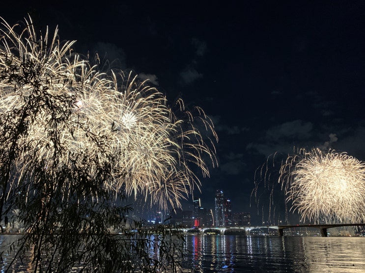 <여의도불꽃축제> 정국숲4호에서 본 "한화와 함께하는 서울세계불꽃축제"