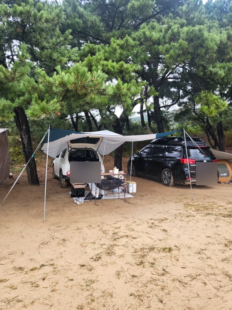 데카트론 2초 암막 텐트(3인)/ MH 프레시 캠핑 타프 XL 사용 후기 : 네이버 블로그