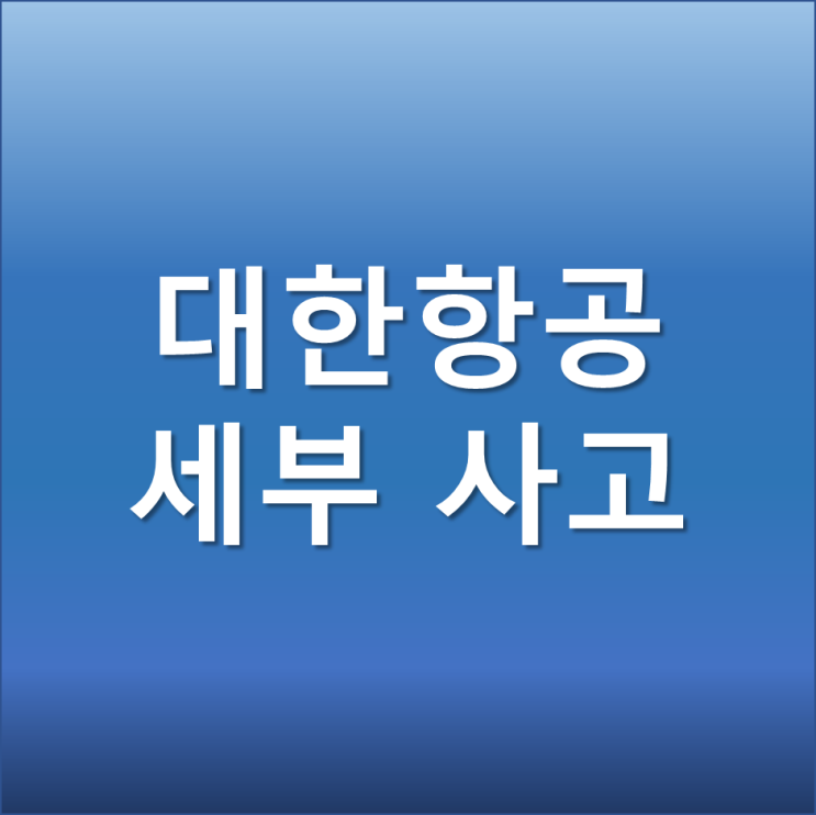 대한항공 세부 사고 공항 활주로 이탈 사고기 견인 조치 사고원인은