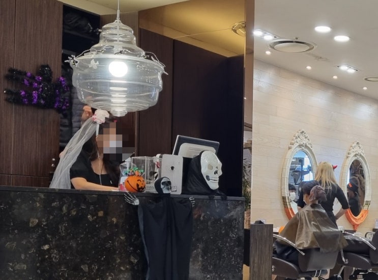  할로윈데이 잊혀진 계절, 10월의 길고양이들