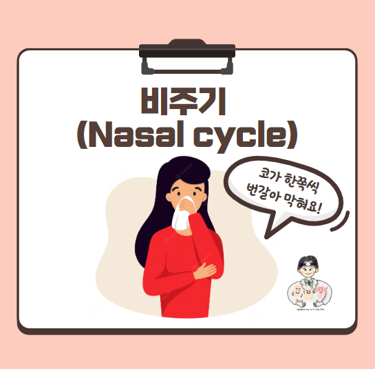  비주기(Nasal cyle) - 코가 한쪽씩 번갈아가며 막혀요!!
