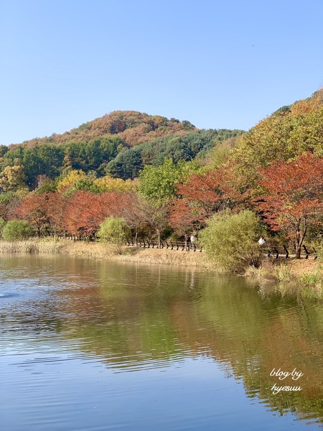 네이버 인플루언서 [네이버 인플루언서] ㅎㅖ수의 문배마을