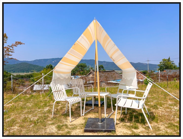  경주 애견동반가능 경주도지동에 카페푸릇