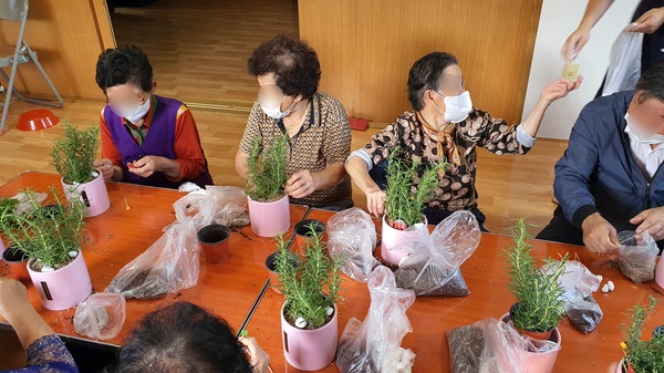 마을회관 원예수업 허브심기 양산꽃집 꽃편지