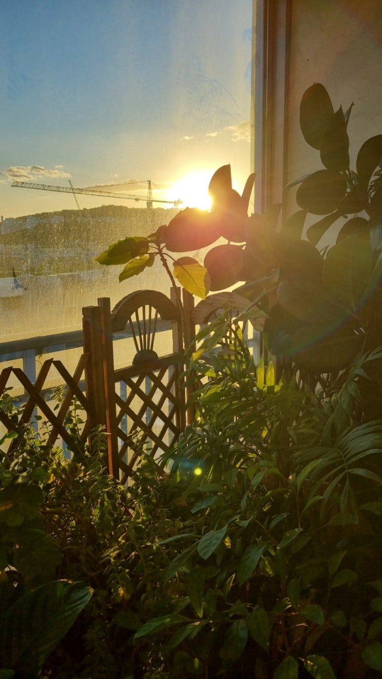  가을가을