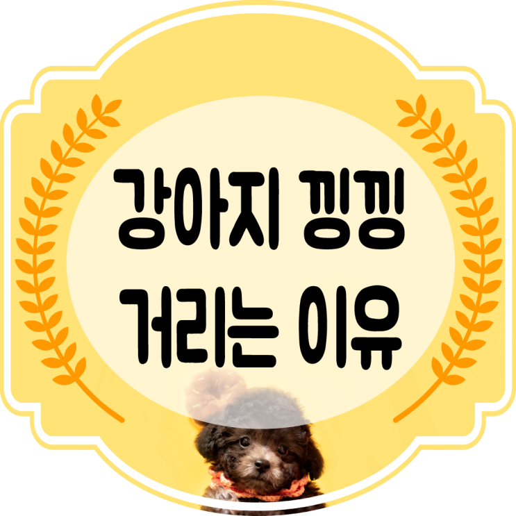  새끼강아지 낑낑거림 이유가 뭘까??