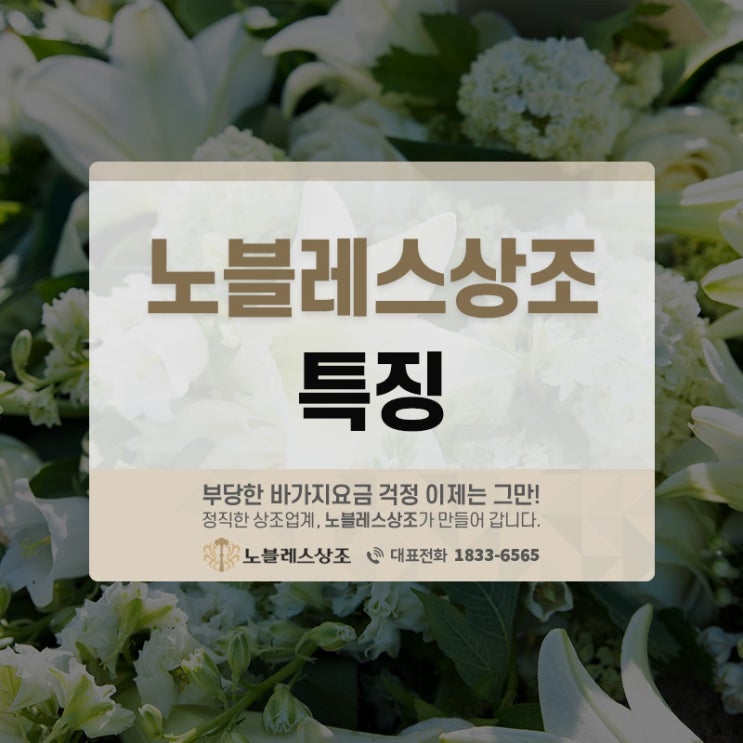  힘이 될 수 있는 선택, 노블레스상조 특징