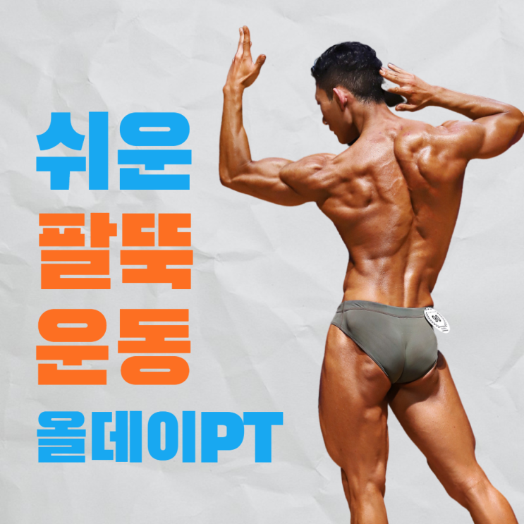  화곡 pt 까치산 올데이 피티 / 너무 쉬운 팔뚝 운동 따라해보세요!