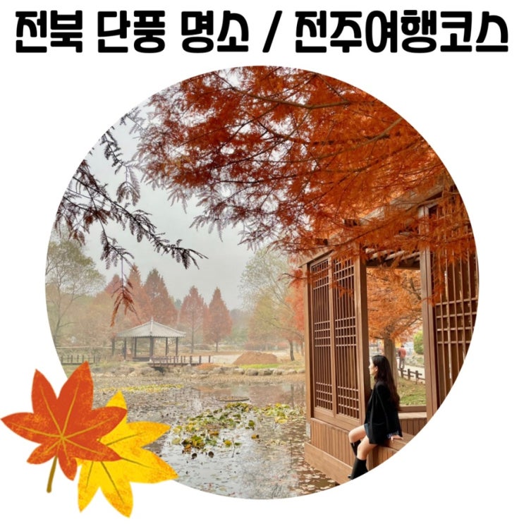 [전북 단풍 명소] 소양 오스갤러리와 전주 수목원 포토존, 팔복 예술공장
