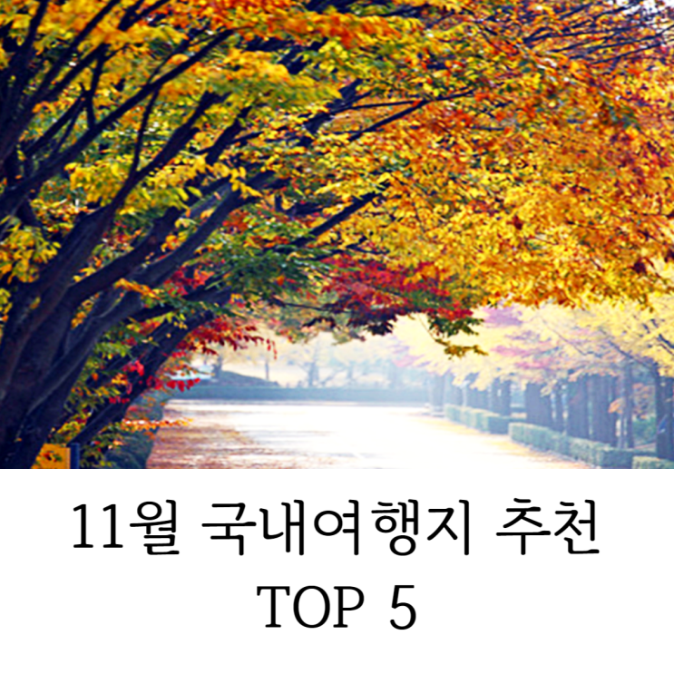11월 국내여행지 추천 놓치기 아까운 TOP 5