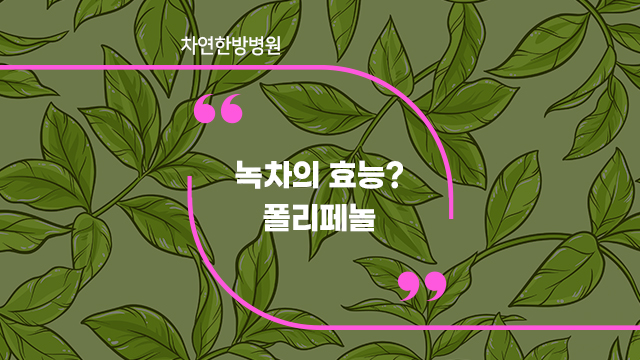  녹차 폴리페놀 효능 EGCG 암 예방과 치료에 도움될 수도